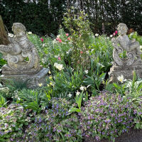 fioriture primaverili