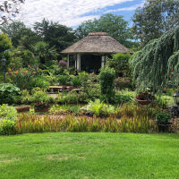 Perennials from a-z