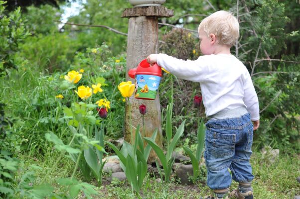 Wie man Kinder für die Gartenarbeit begeistert - 