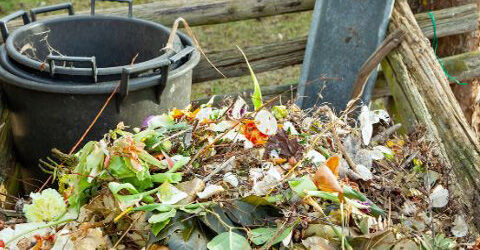 Biologischer Gartenbau - 