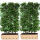 Heckenelement Rotbuche 180 x 100 cm - Fagus Sylvatica