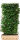 Heckenelement Feldahorn 200 x 100 cm- Acer Campestre