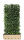Heckenelement Efeu 180 x 200 cm - Hedera