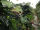 Heckenelement Efeu 180 x 200 cm - Hedera