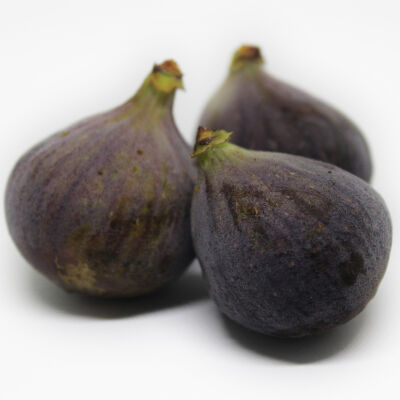 common fig, garden fig