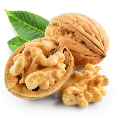 Walnut