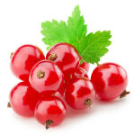 Redcurrant