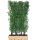 Heckenelement Liguster 200 x 100 cm - Ligustrum