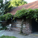 Wisteria sinensis Prolific