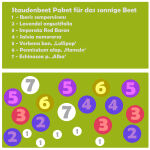 Staudenbeet Paket  für das sonnige Beet - 20 Pflanzen