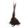 Liguster Lodense 30 - 50 cm Wurzel Ware