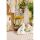 Tischset (Set 6 Stück) 48x33 cm beige