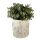 Blumentopf Ø 17x17cm beige und grün Stein Getreidehalme Innenblumentopf