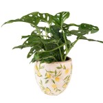 Blumentopf Ø 14x14 cm Gelb Keramik Zitrone Innenblumentopf