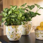 Blumentopf Ø 14x14 cm Gelb Keramik Zitrone Innenblumentopf