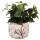 Blumentopf Ø 20x15 cm Beige Braun Keramik Zweigen Innenblumentopf