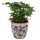 Blumentopf Ø 17x16 cm Beige Blau Keramik Blumen Innenblumentopf