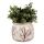 Blumentopf Ø 16x13 cm Beige Braun Keramik Zweigen Innenblumentopf