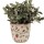 Blumentopf Ø 11x10 cm Beige Rot Keramik Erdbeeren Innenblumentopf