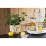 Blumentopf Ø 20x15 cm Gelb Keramik Zitrone Innenblumentopf