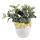 Blumentopf Ø 20x19 cm Weiß Gelb Stein Zitronen